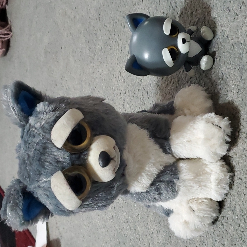 Fiesty pets Sammy suckerpunch